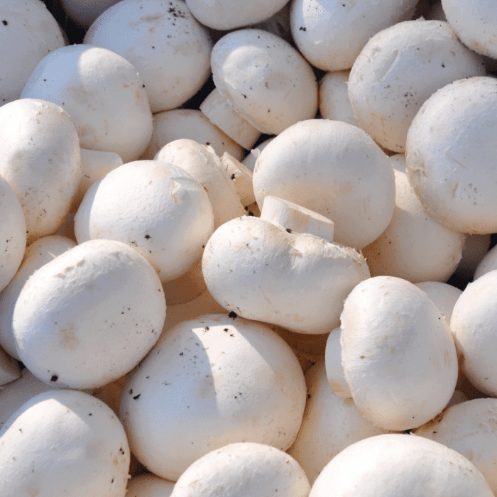 Dogs may occasionally eat mushrooms that are sold for human consumption. Other wild mushrooms are highly toxic or deadly.