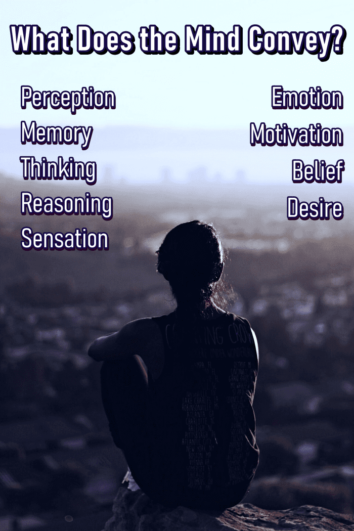 100 Best Songs About the Mind Spinditty