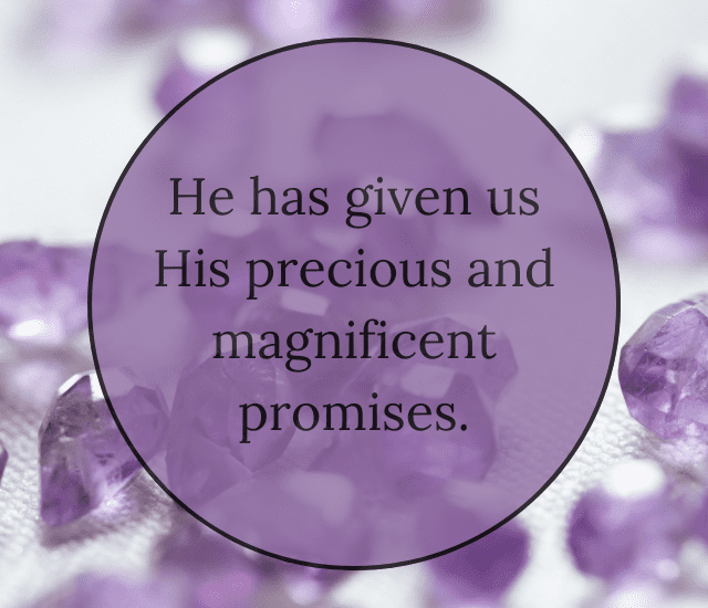 Do I Really Have Everything? LetterPile