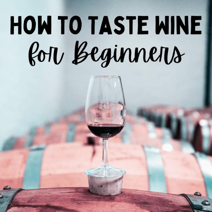 10 Wine Terms to Know and How to Taste Wine Like a Pro - Delishably