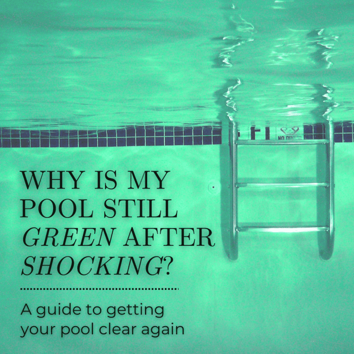 Why Is My Pool Still Green or Cloudy After Shocking? (2022)