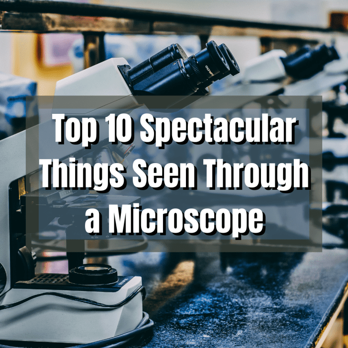 Read on to discover 10 of the most amazing things seen under a microscope, including orange juice and vinyl records!