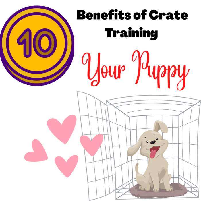 10 Benefits of Crate Training a Puppy PetHelpful