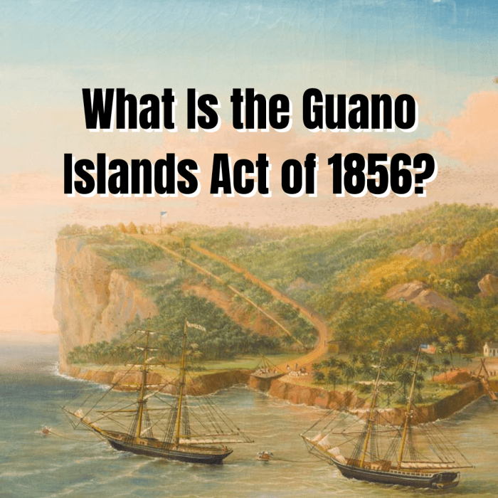 the-guano-islands-act-of-1856-congress-bird-poop-law-owlcation