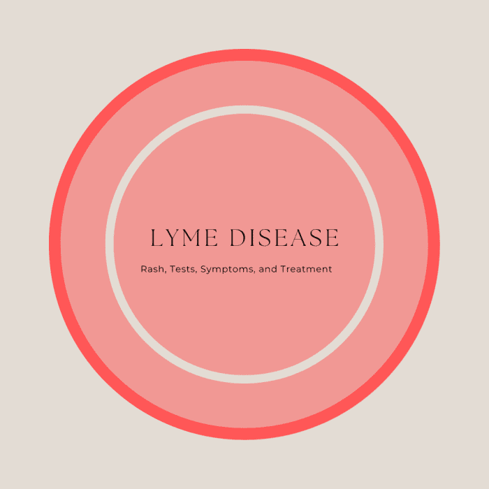Lyme Disease Rash Pictures Test Symptoms Causes Treatment