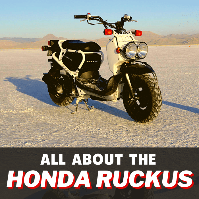 Honda Ruckus Review Specs, Cost, Pictures, and Videos AxleAddict