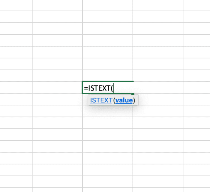 The illustration above shows the ISTEXT function typed into a cell. Automated help tips appear as part of the function editing process.