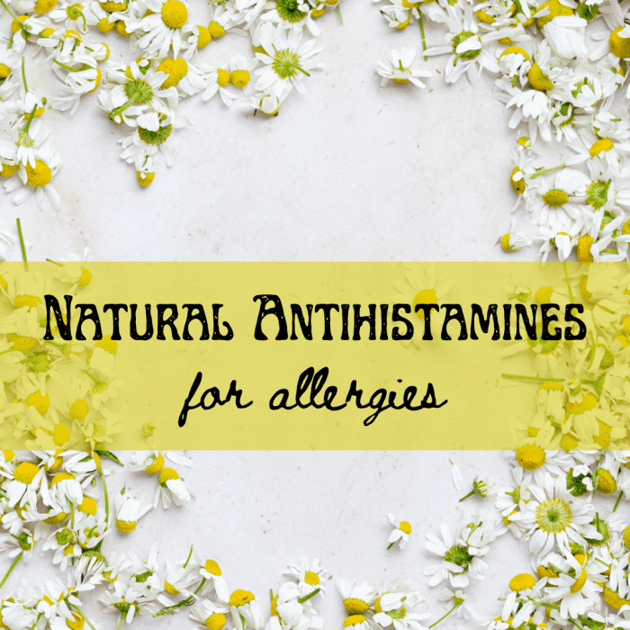 Herbal Remedies For Allergies Natural Antihistamines Remedygrove