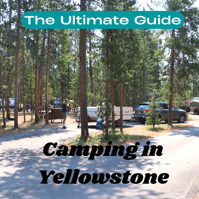 The Best Guide to Camping in Yellowstone National Park SkyAboveUs