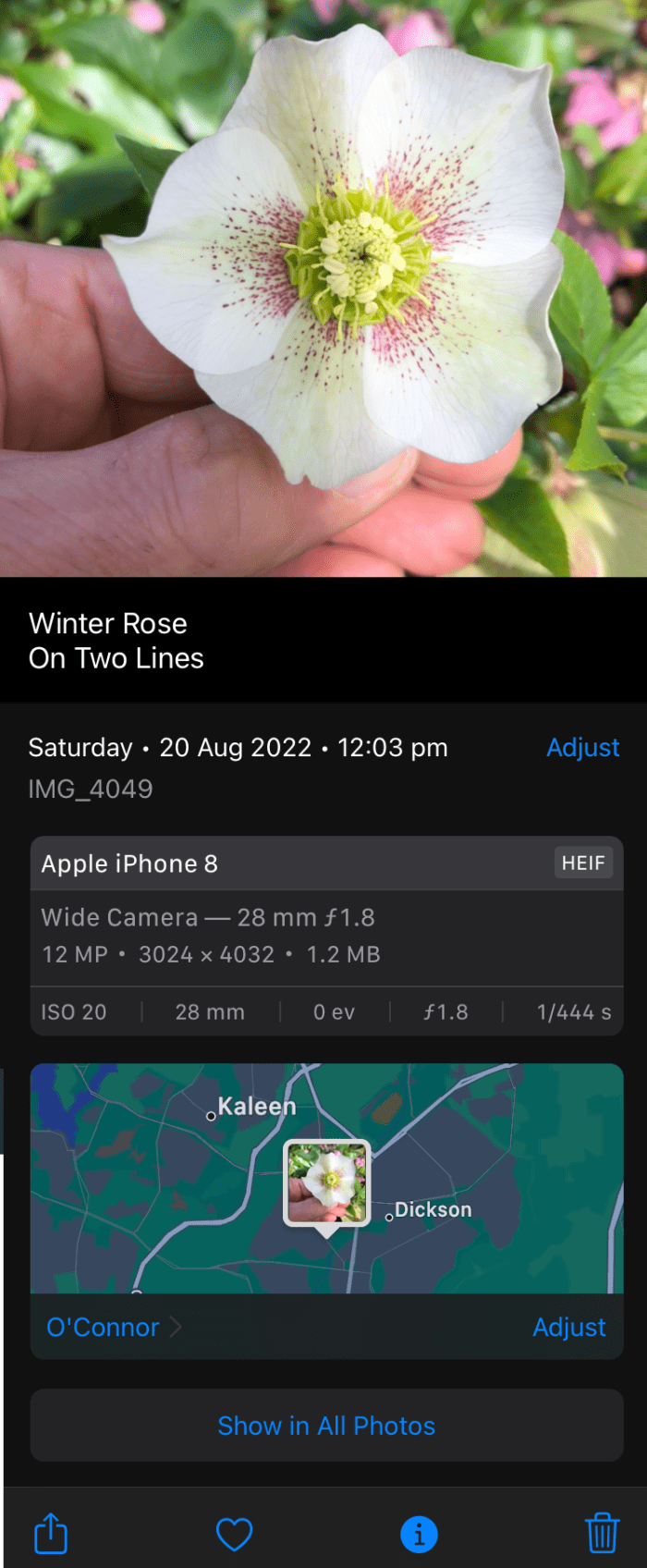 Which Photo Captioning Software Is the Best? TurboFuture