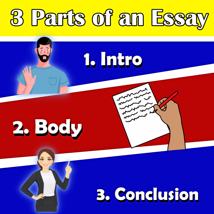 The three parts of an essay: intro, body and conclusion