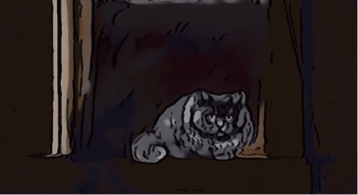 His green-gray eyes were staring, questioning, uncertain about his chances. He seemed to be trying to make up his mind.