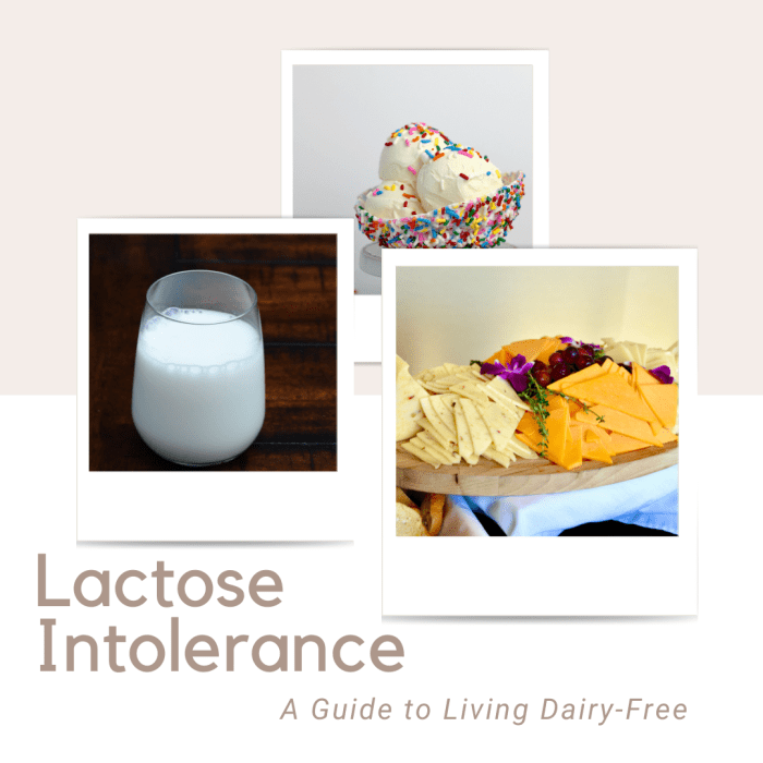 Lactose tolerance is very similar to alcohol tolerance in that every person has a varying degree to which they can handle before it adversely affects them.