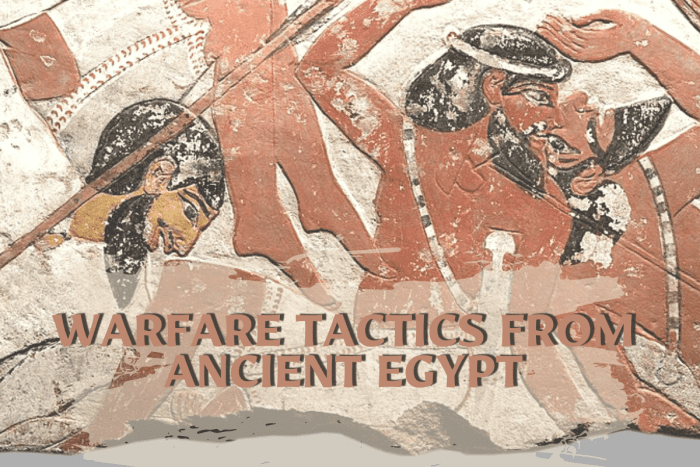 From chariots to archers, here's the story of warfare during the kingdoms of ancient Egypt.