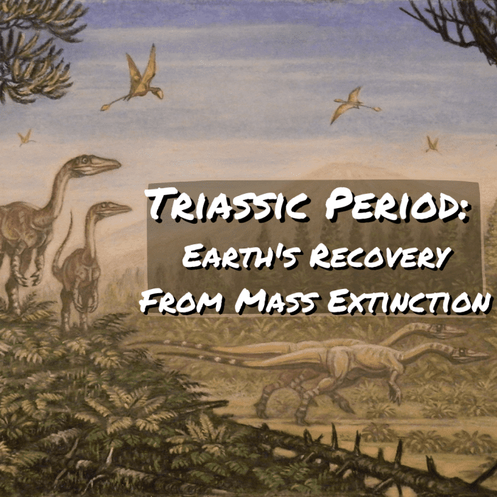 Triassic Period: The Earth's Recovery From Mass Extinction - Owlcation