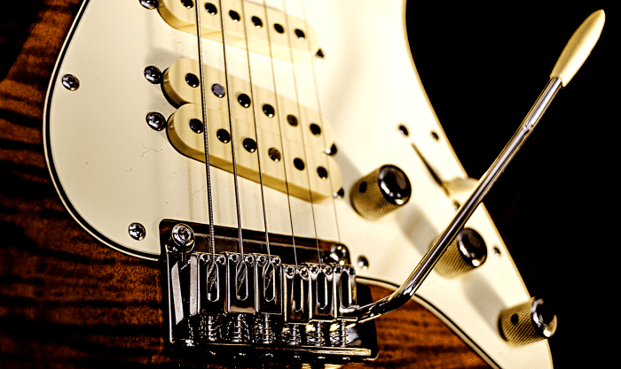 Electric Guitar Bridge Types Explained Spinditty