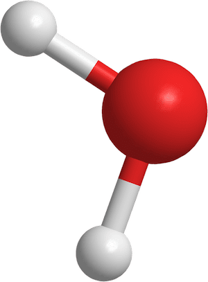 Water is a molecule made up of one oxygen atom, shown in red, and two hydrogen atoms, shown in white.