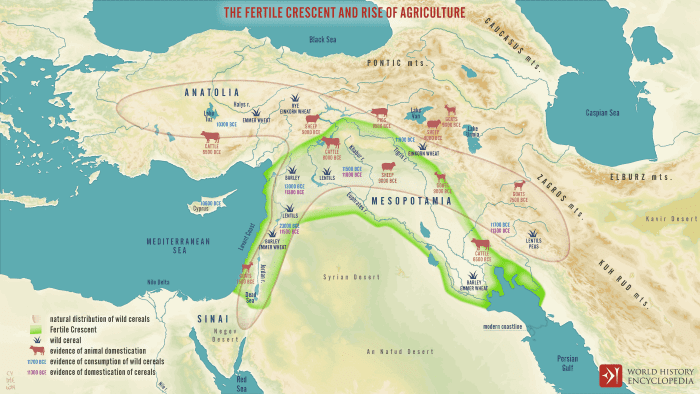 Agriculture first developed in the “Fertile Crescent,” a portion of the Eastern Mediterranean and Asia Minor.