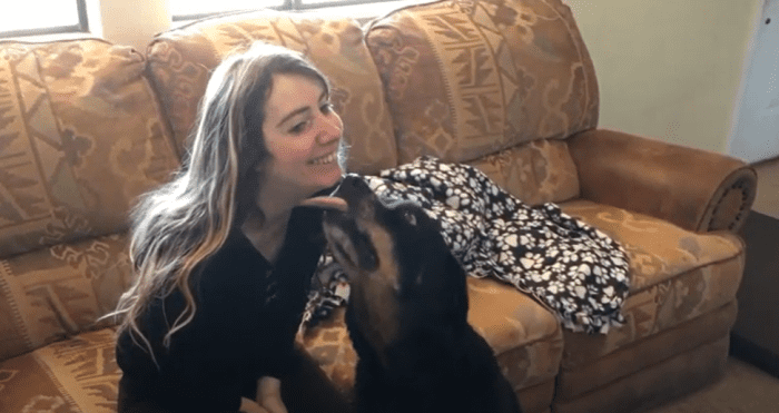 As puppies grow, they will carry over their licking behaviors directed towards their moms to other contexts such as greeting people. Here is my adult Rottweiler giving me "kisses."