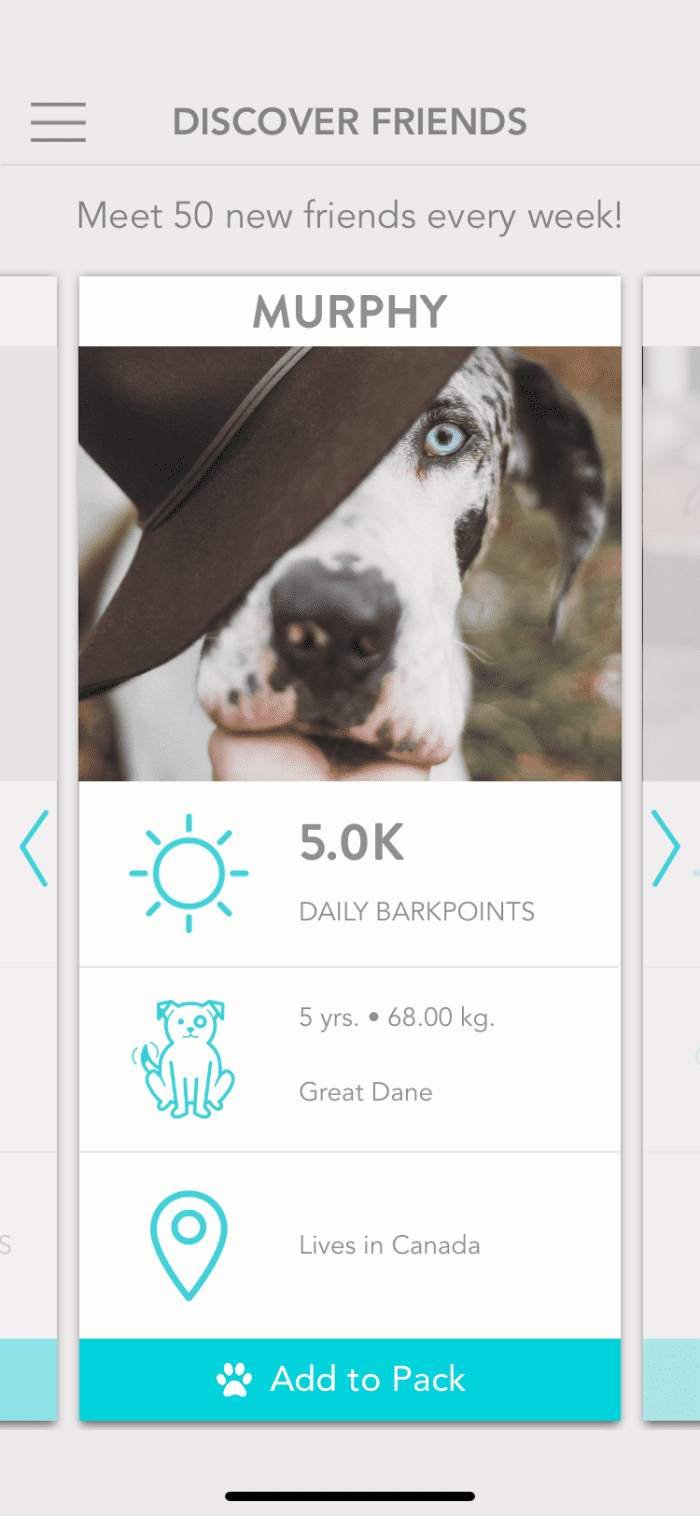 You might chose to add this friend because of Bark Point achievement, breed, or age. And because the profile photo is stunning! Murphy must have a huge following on Instragram, Facebook or Twitter.