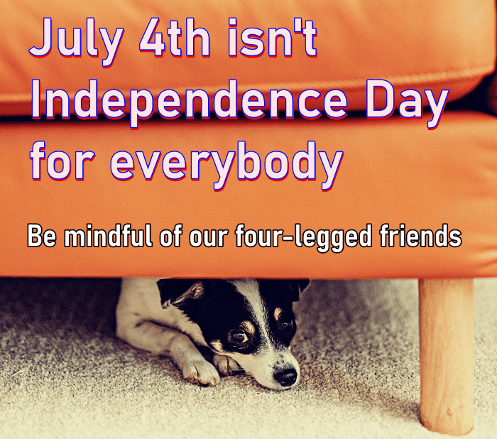 If loud noises like fireworks trigger your puppy, counter conditioning and desensitization will help them learn to tolerate the explosions..