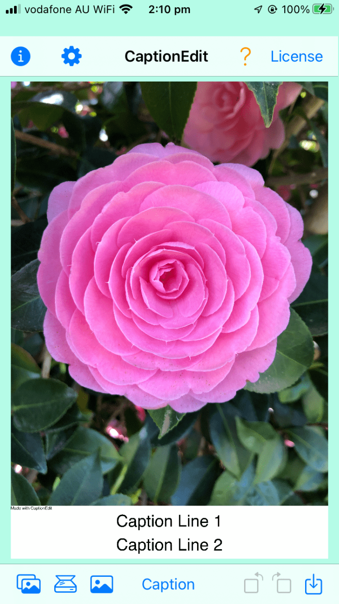 Which Photo Captioning Software Is the Best? TurboFuture