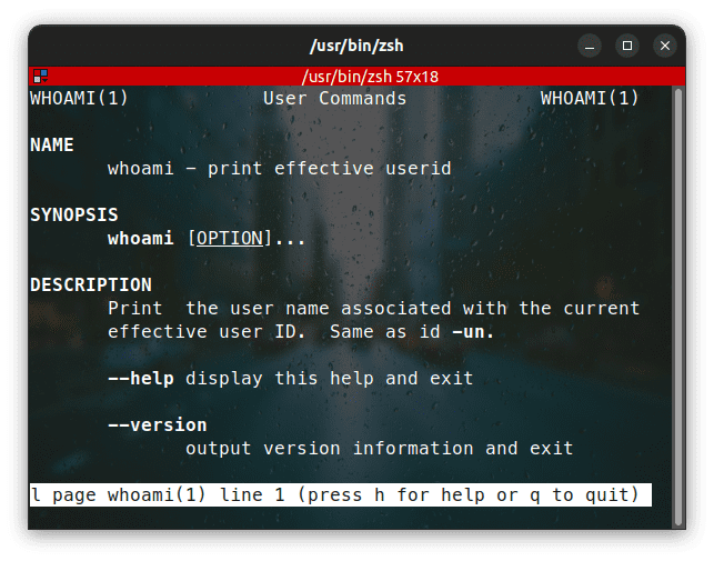 30+ Standard Linux Commands for Beginner or Intermediate Users - HubPages