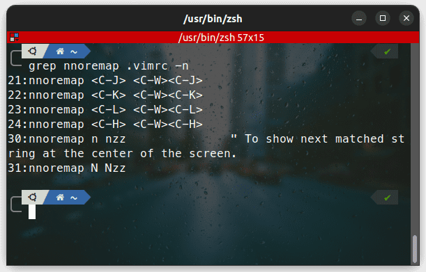 searching for "nnoremap" inside a file ".vimrc". "-n" arg tells you the line number they are present at.