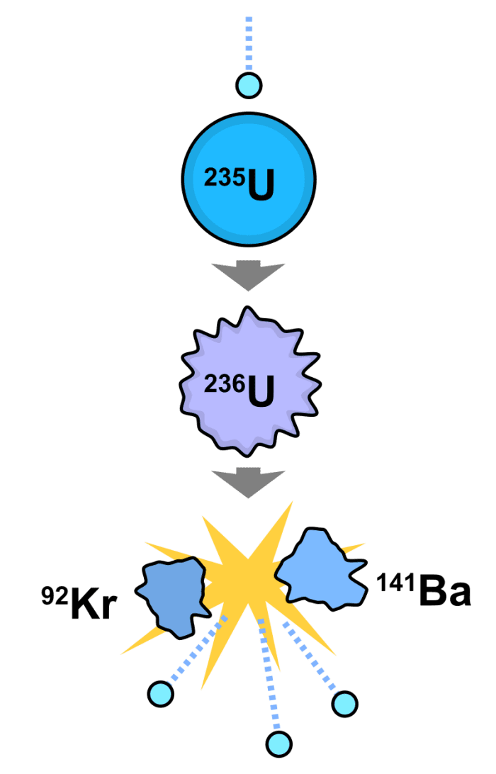 Diagram illustrating nuclear fission. A neutron is absorbed by a uranium-235 nucleus, turning it briefly into an excited uranium-236 nucleus. The uranium-236, in turn, splits into fast-moving lighter elements (fission products) and energy.