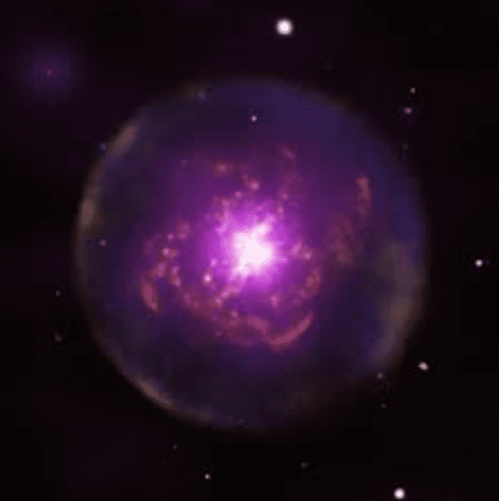 What Is a BornAgain Star? Owlcation