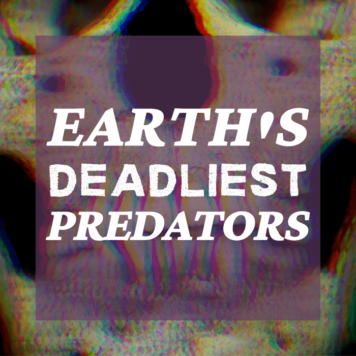 Top 5 Deadliest Predators Of All Time Owlcation