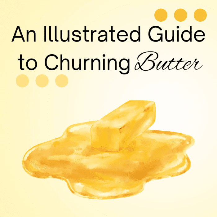 How to Make and Churn Goat Butter An Illustrated Guide Delishably