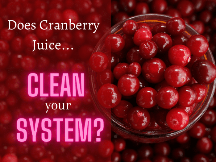 10 Clever Ways That Cranberry Juice Cleans Your System CalorieBee