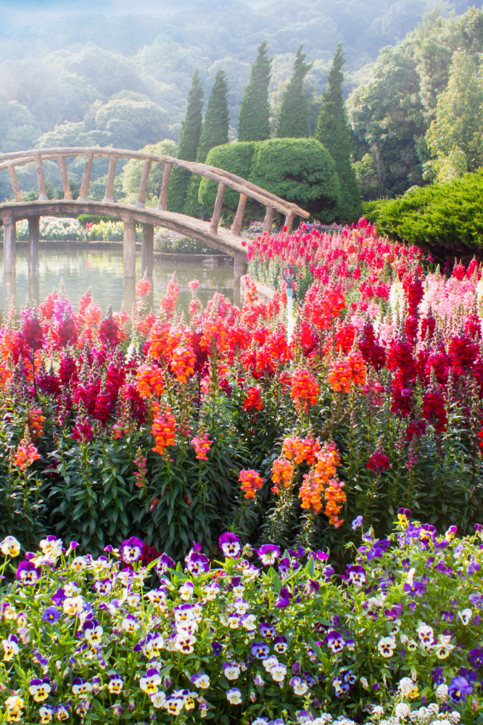 Spring into Fun: A List of Activities To Do This Season - HubPages