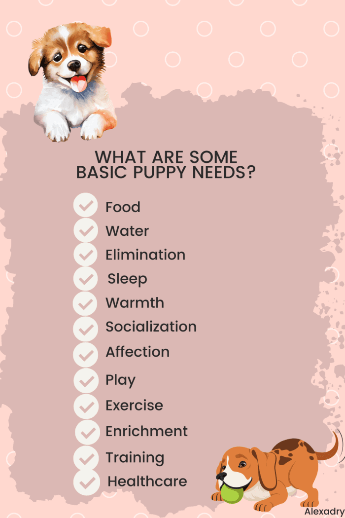 How Do I Get My Puppy to Stop Whining When Left Alone? PetHelpful