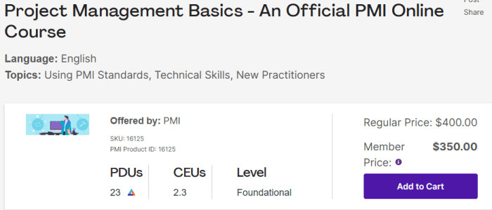 Review: Project Management Basics Course from PMI - HubPages