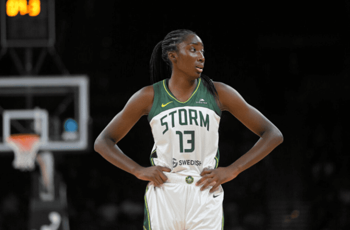 50 Funny and Clever WNBA Fantasy Women's Basketball Team Names ...