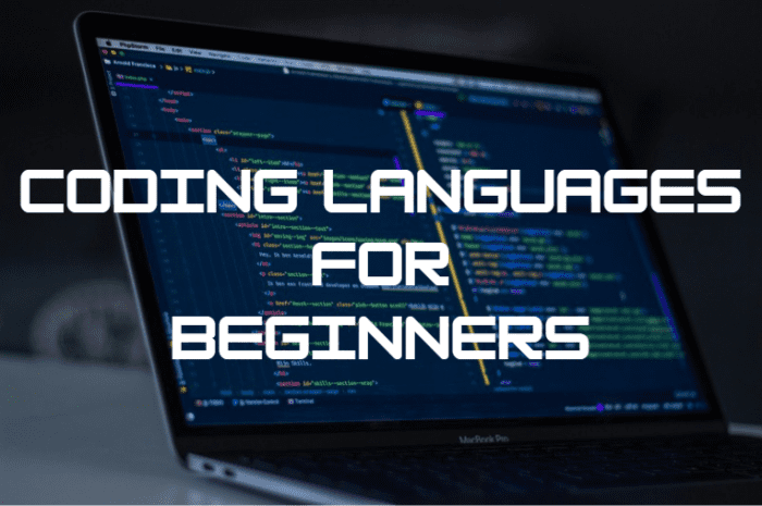 Which Coding Language Should Beginners Learn First? - HubPages