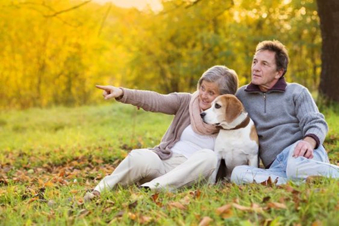 21 Best Dog Breeds For Senior Citizens - HubPages