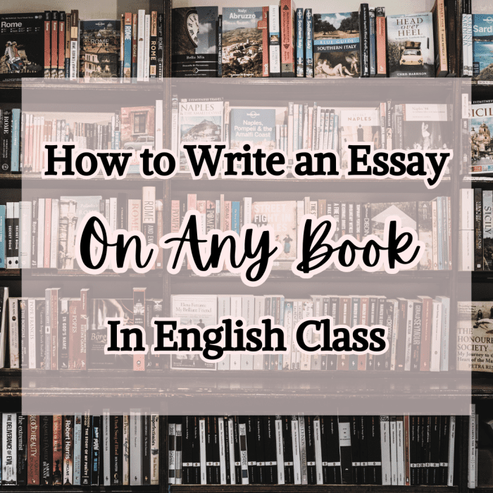 essay in english book