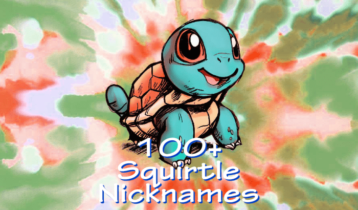 100+ Squirtle Nicknames - HubPages