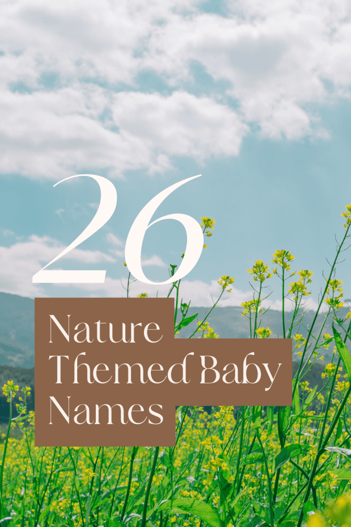 Nature Themed Baby Names Part 1 HubPages