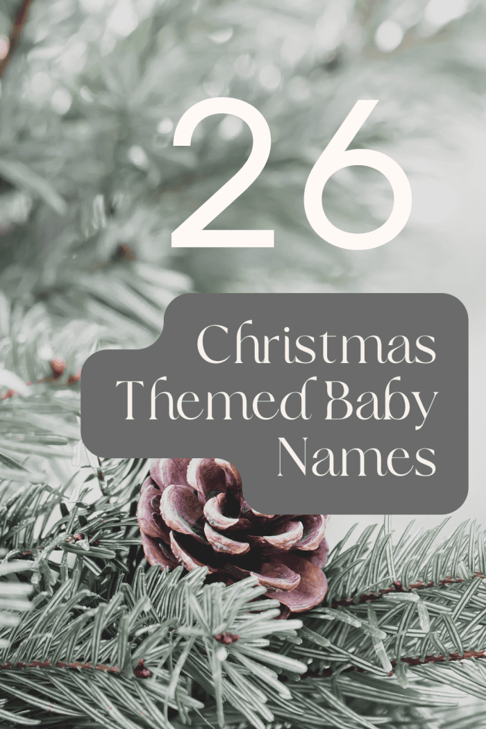 26 Christmas Themed Baby Names HubPages