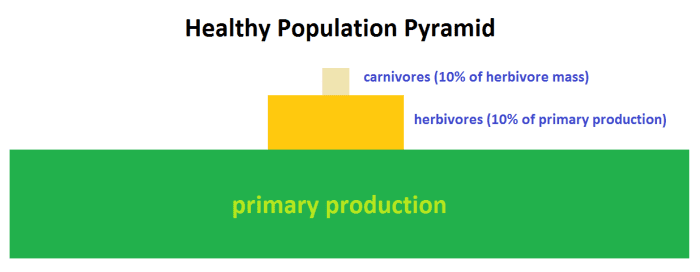 The Population Curve - HubPages