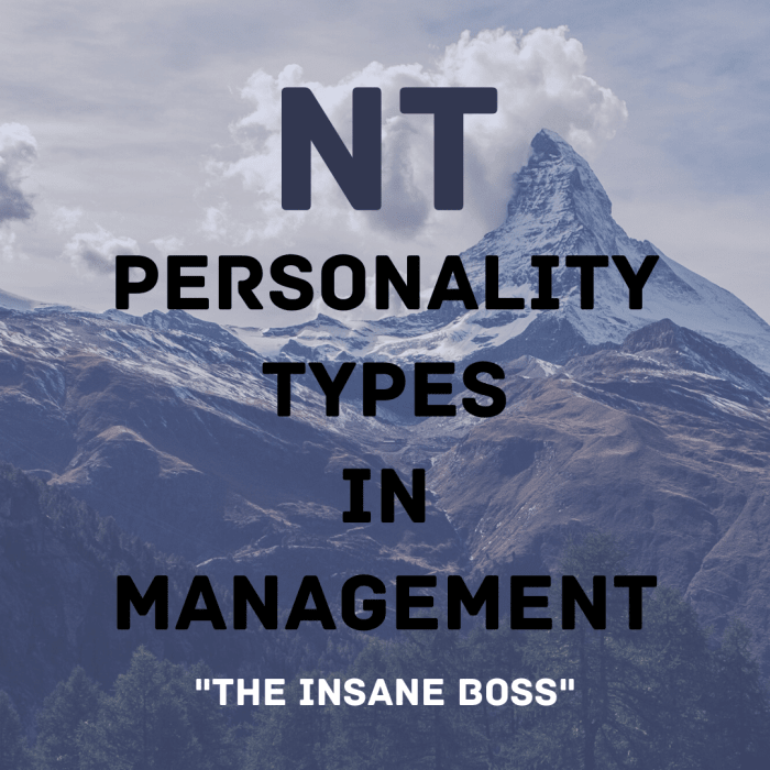 INtuitive Thinkers (NTs) aim for the mountaintops in the workplace—but as bosses, they can be challenging.