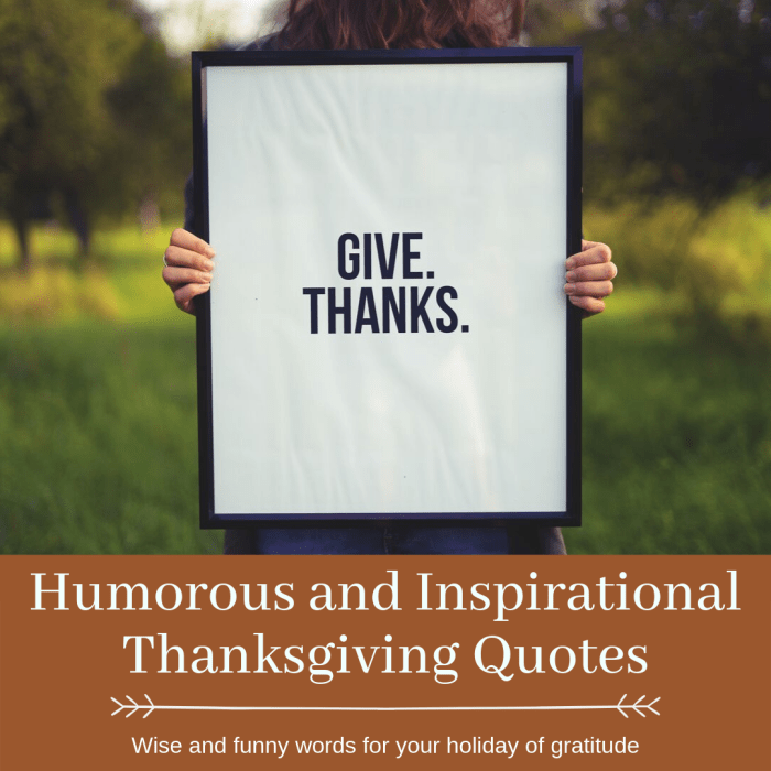 Read up on these funny and inspirational quotes about the holiday dedicated to being grateful and giving back.