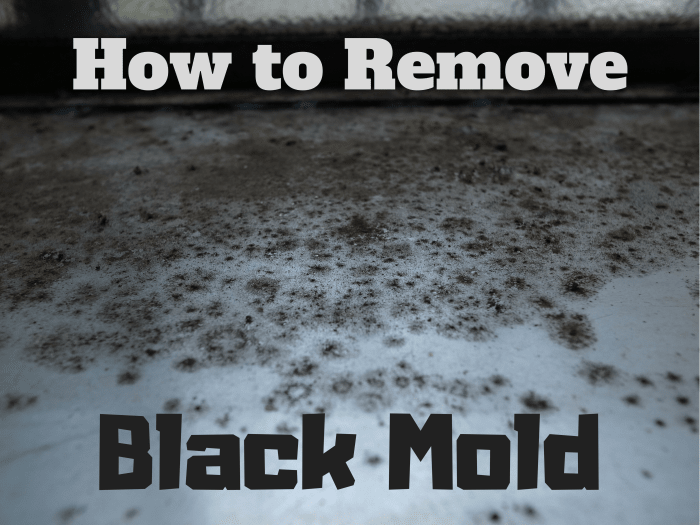 Though not all forms are toxic, it's still always a good idea to identify where your mold is deriving its water source, fixing this problem, and removing all traces of the fungus. This article will show you how.