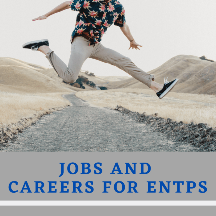 Are you an ENTP? If so, read on to see which jobs will make the best use of your high-energy personality!