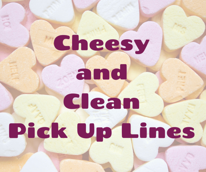 Looking for a cheesy, fun, and maybe a little cringey way to express your interest? Here a few silly pick up lines to get you started.
