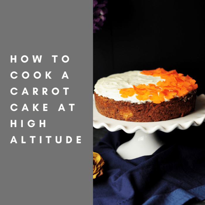 How to Cook a Carrot Cake at High Altitude - Delishably